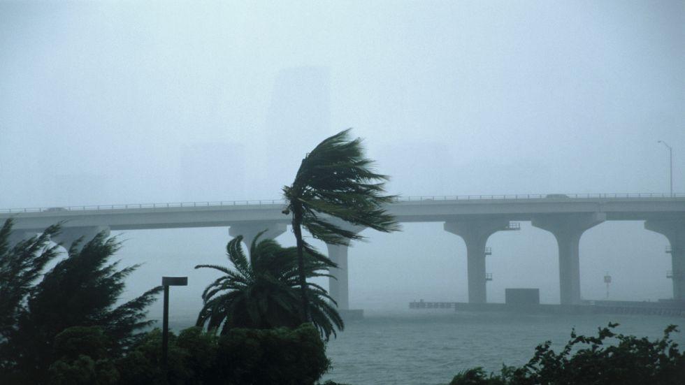 Protect Your Car In a Hurricane!